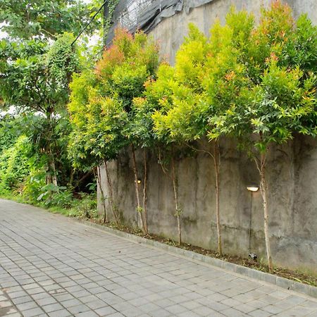 A7 Guesthouse Canggu Esterno foto
