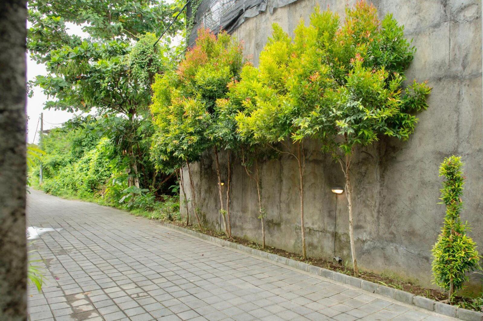 A7 Guesthouse Canggu Esterno foto